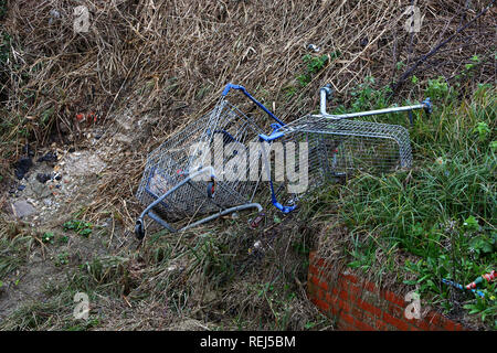 Two Tesco shopping trolleys pictured thrown and abandoned by a river in Bognor Regis, West Sussex, UK. Stock Photo