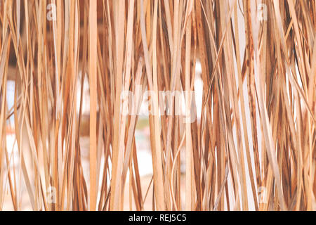 Dry vertical hanging tropical cane leaves as background. Stock Photo