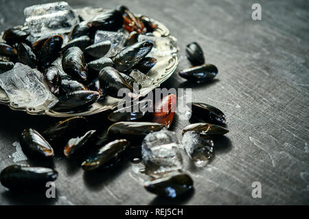 fresh delicious raw mussels served with ice on an old silver plate Stock Photo