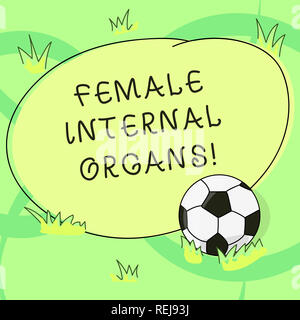 Writing note showing Female Internal Organs. Business photo showcasing The internal genital structures of the Soccer Ball on the Grass and Blank Outli Stock Photo