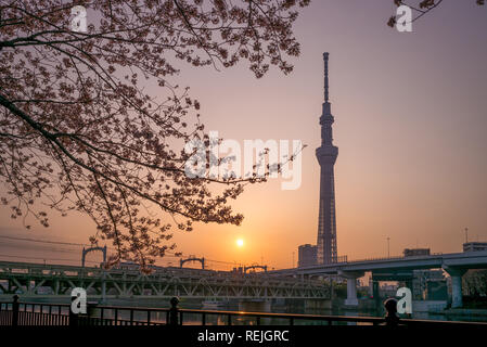 skyline of tokyo city by the river at dawn Stock Photo