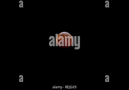 Super Blood Wolf Moon during total lunar eclipse at totality Stock Photo