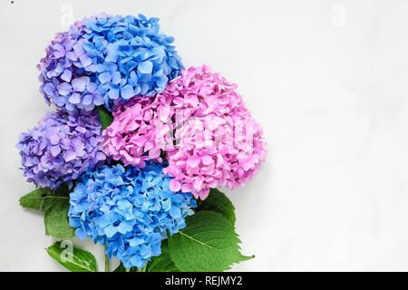 hydrangea flowers bouquet over white marble table with copy space. top view. mock up. nature concept Stock Photo