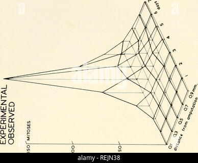 . Colchicine in agriculture, medicine, biology, and chemistry. Colchicine; Colchicine. . Please note that these images are extracted from scanned page images that may have been digitally enhanced for readability - coloration and appearance of these illustrations may not perfectly resemble the original work.. Eigsti, O. J. (Orie Jacob), 1908-; Dustin, Pierre. Ames, Iowa State College Press Stock Photo