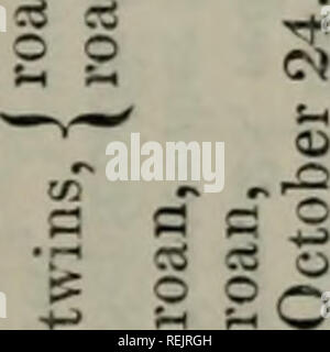 Coates S Herd Book Cows 837 O To 5 M W E H H Is Pq A 1 0 H P Quot I Gt 3 A At 0