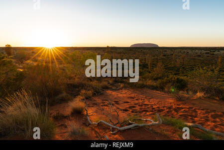 Sunrise in outback Australia with red earth plants and Uluru in the back in NT central Australia Stock Photo
