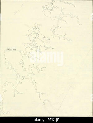 . Coastal waterbird colonies, Maine to Virginia, 1977 : an atlas showing colony locations and species composition. Sea birds -- Atlantic States; Birds -- Atlantic States. R 453 059 PARKSLEY. 641. Please note that these images are extracted from scanned page images that may have been digitally enhanced for readability - coloration and appearance of these illustrations may not perfectly resemble the original work.. Erwin, R. Michael; Coastal Ecosystems Project; Biological Services Program (U. S. ); Korschgen, Carl E. Washington, D. C. : The Service Stock Photo