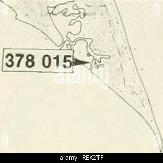 . Coastal waterbird colonies, Maine to Virginia, 1977 : an atlas showing colony locations and species composition. Sea birds -- Atlantic States; Birds -- Atlantic States. 378 0131. Please note that these images are extracted from scanned page images that may have been digitally enhanced for readability - coloration and appearance of these illustrations may not perfectly resemble the original work.. Erwin, R. Michael; Coastal Ecosystems Project; Biological Services Program (U. S. ); Korschgen, Carl E. Washington, D. C. : The Service Stock Photo