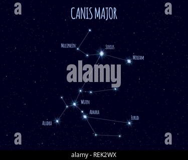 Canis Major (The Great Dog) constellation, vector illustration with the names of basic stars against the starry sky Stock Vector