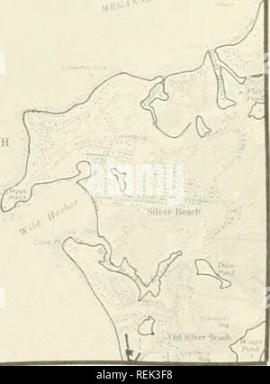 . Coastal waterbird colonies, Maine to Virginia, 1977 : an atlas showing colony locations and species composition. Sea birds -- Atlantic States; Birds -- Atlantic States. 347. Please note that these images are extracted from scanned page images that may have been digitally enhanced for readability - coloration and appearance of these illustrations may not perfectly resemble the original work.. Erwin, R. Michael; Coastal Ecosystems Project; Biological Services Program (U. S. ); Korschgen, Carl E. Washington, D. C. : The Service Stock Photo