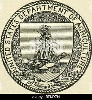 . Circular. Agriculture; Agriculture -- United States. U. S. DEPARTMENT OF AGRICULTURE. BUREAU OF PLANT INDUSTRY—Circular No. 111. B. T. GALLOWAY, Chief of Bureau. MISCELLANEOUS PAPERS. Preliminary Report on Sugar Production from Maize Durango Cotton in the Imperial Valley Improved Apparatus for Detecting Sulphured Grain Supernumerary Carpels in Cotton Bolls Keeping Soft Cuttings Alive for Long Periods . C. F. CLARK 0. F. COOK G. H. BASTON R. M. MEADE G. W. OLIVER Issued February 1, 1913.. WASHINGTON: GOVERNMENT PRINTING OFFICE. 1913.. Please note that these images are extracted from scanned p Stock Photo