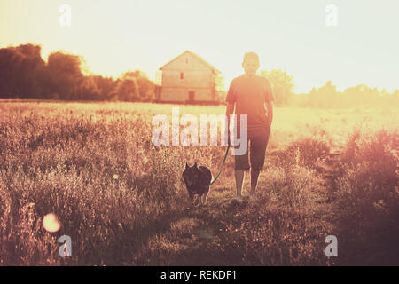 A man walks with a dog in a field at sunset. Man holding the dog on a leash Stock Photo