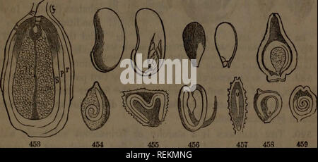 This *Class-book of Botany* outlines plant structure, physiology, and ...