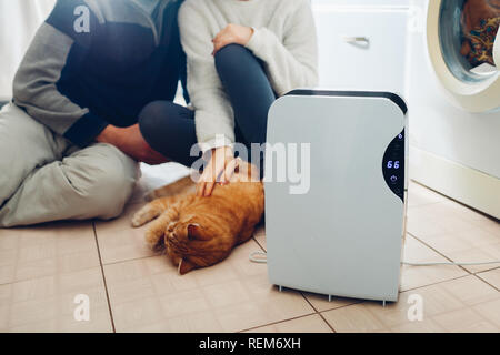 Dehumidifier with touch panel, humidity indicator, uv lamp, air ionizer, water container works at home while couple playing with cat. Air dryer Stock Photo