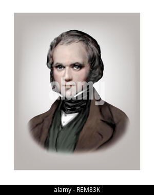Charles Darwin 1809-1882 English Naturalist Stock Photo