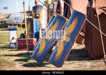 Medieval shields in a row. Weapons prepared for fight, battle of war. Reenactment festival in summer in Romania. Stock Photo