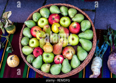 Still life; pears and apples in a basket; Stock Photo