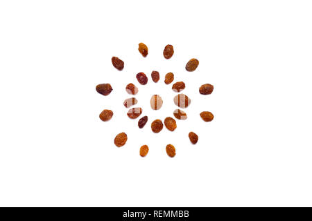 A collection of  brown raisins  lies in the shape of a circle or sun on an isolated white background with a clipping path. Brown raisins  Pattern Stock Photo
