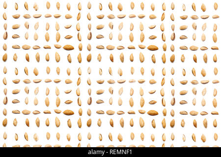 A collection of peeled almonds Badam lie in straight rows along ...