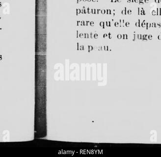 Le Ma C Decin Va C Ta C Rinaire A La Ferme Microforme Horses Veterinary Medicine Chevaux Ma C Decine Va C Ta C Rinaire Ferrure Corrective 1 Fer A Branches Tronqua C Es Encasteluro Chevaux Qui Forgent Che Vaux Qui Se Couelient En Vache