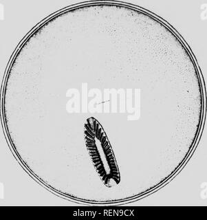 Fundus Black and White Stock Photos & Images - Page 2 - Alamy