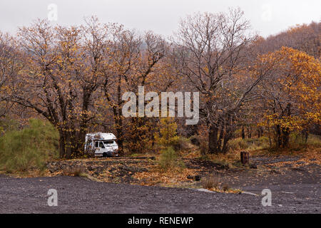 Scenic View Of A Caravan Or Trailer Park Next To Woods In Summer Sunset With Blue Sky Stock Photo Alamy