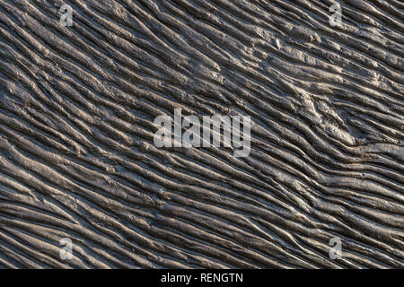 Abstract drak striped texture background. Wooden backdrop with stripes , lines, curves and bars Stock Photo