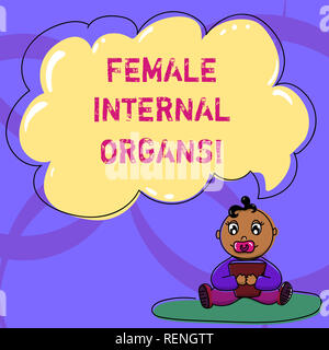 Writing note showing Female Internal Organs. Business photo showcasing The internal genital structures of the Baby Sitting on Rug with Pacifier Book a Stock Photo
