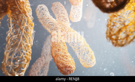 XY Chromosomes - Close-up - 3D Rendering Stock Photo