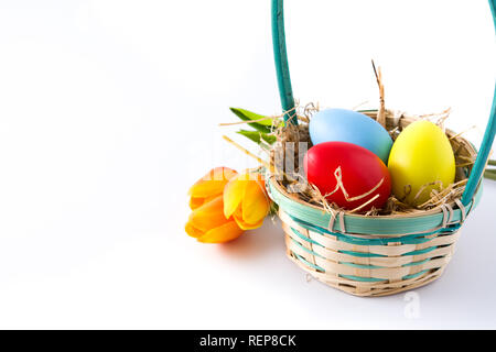 Colorful easter eggs in a basket and tulips isolated on white background. Copyspace Stock Photo
