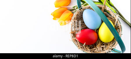 Colorful easter eggs in a basket and tulips isolated on white background. Panoramic view. Copyspace Stock Photo