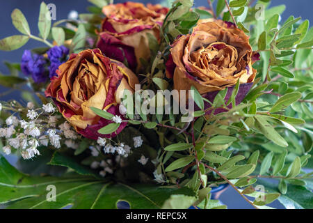 Close-up of a bouquet of dried roses and various complementary plants. Stock Photo