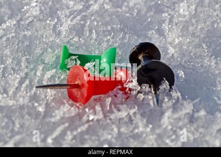 Thumbtack in the colors red, black and green isolated on a snow background. Stock Photo