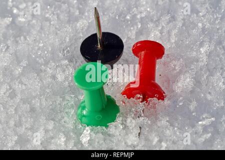 Thumbtack in the colors red, black and green isolated on a snow background. Stock Photo