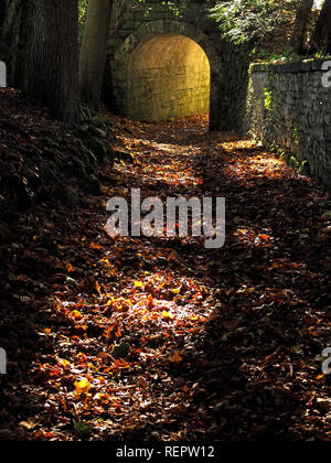 golden Autumn sunshine filters through stone archway with fallen leaves creating green glow & spotlighting foliage on wall in Cumbria, England, UK Stock Photo