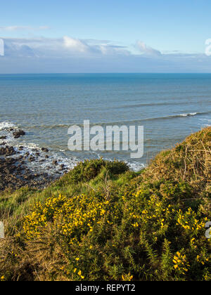 beautiful and scenic coast path at Westward Ho in North Devon , England Stock Photo