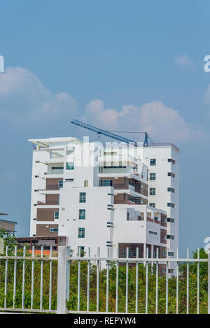 Cranes is used in the construction of tall buildings. Stock Photo
