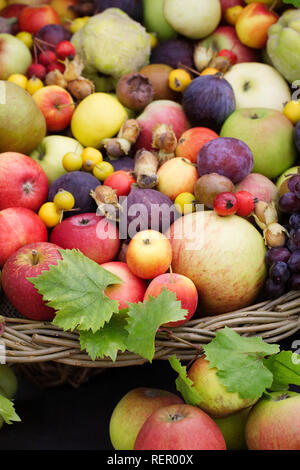 Display of Harvest fruits and nuts. Apples, figs, crab apples, plums, grapes, quince, medlars and cob nuts. Stock Photo