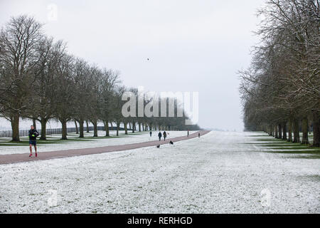 Windsor, UK. 23rd Jan, 2019. UK Weather: The year's first sprinkling of snow alongside the Long Walk in Windsor Great Park. Today's forecast for Berkshire is cold, with sunny spells and a risk of wintry showers. Motorists have been warned to take care because of hazardous driving conditions. Credit: Mark Kerrison/Alamy Live News Stock Photo