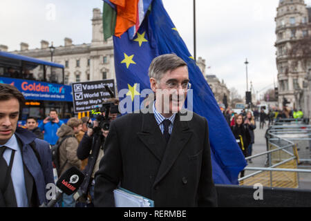 London, UK. 23rd Jan 2019. Jacob Rees-Mogg Brexiteer and MP for North East Somerset walks into Parliament Credit: George Cracknell Wright/Alamy Live News Stock Photo