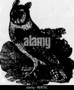 Rat king Black and White Stock Photos & Images - Alamy