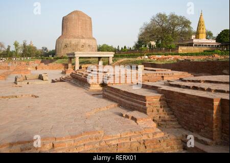 Dhamekh stupa, Isipatana Deer Park, Sarnath, Uttar Pradesh, India, South Asia Stock Photo