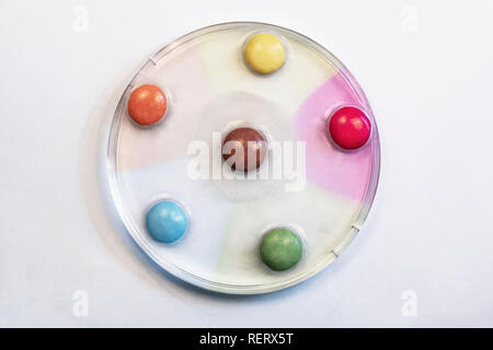 Diffusion experiment using sweets in a petri dish Stock Photo