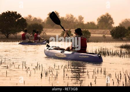 Kajak tour in the Mangrove Lagoons, private game reserve with over 10000 steppe animals, Sir Bani Yas Island, belongs to the Stock Photo