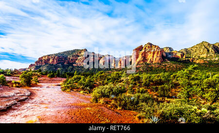 The red rocks of Munds Mountain Wilderness viewed from the Little Horser Trail Head at Sedona in northern Arizona in Coconino National Forest, USA Stock Photo