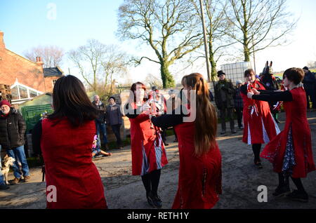 Grimsby folk dancing group The Herring Gals celebrate Wassail at the Skidbrooke Cyder Company, Lincolnshire, England. Stock Photo