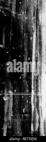 Ovairo Black and White Stock Photos & Images - Alamy