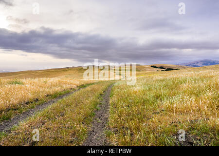 Walking trail among hills and valleys covered in dry grass, south San Francisco bay area, San Jose, California Stock Photo