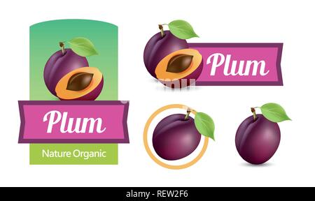 Set of sticker and labels with Plums isolated on white - Vector illustrations for Wine and Jam design package. Stock Vector