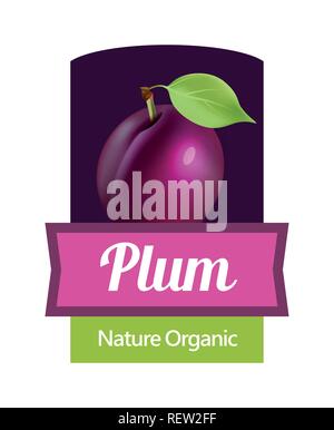 Plum on label - vector Sticker for Jam or Wine in juicy colorful design. Stock Vector